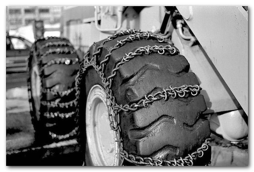 008_200302_ME_S_M50_1.7_100ACROS.jpg