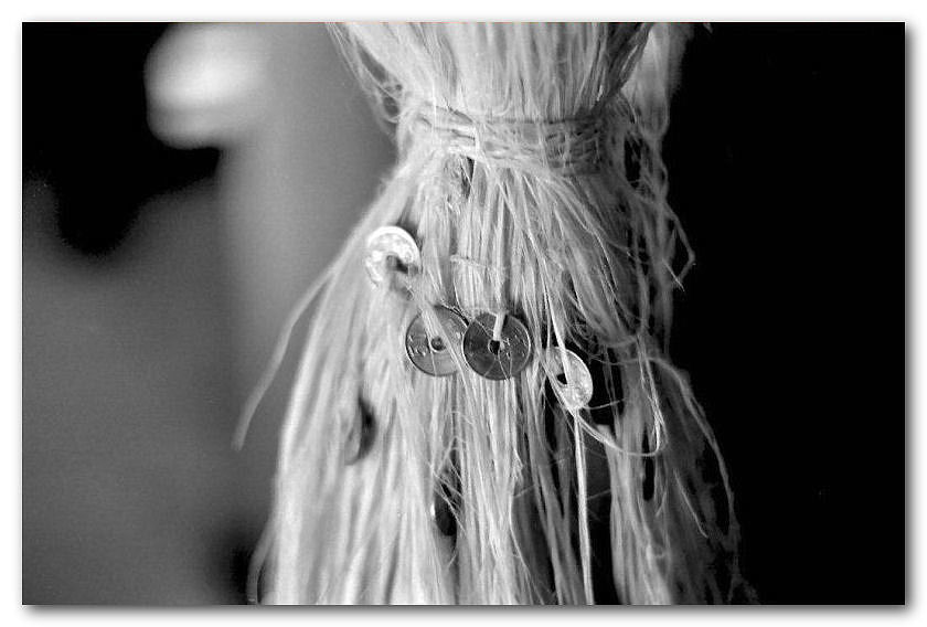 009_200303_ME_S_M50_1.7_100ACROS.jpg