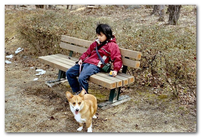 010_200304_ME-S_M50_VISTA100.jpg
