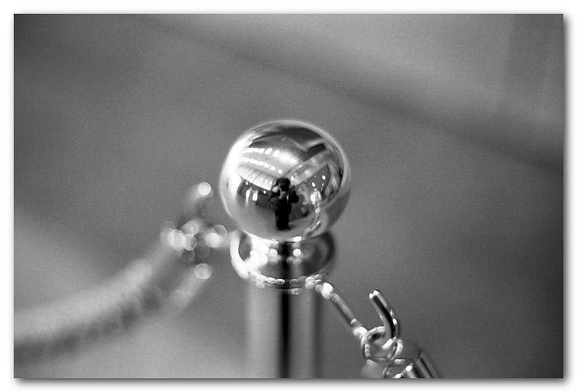 011_200305_ME_S_M50_1.4_100ACROS.jpg