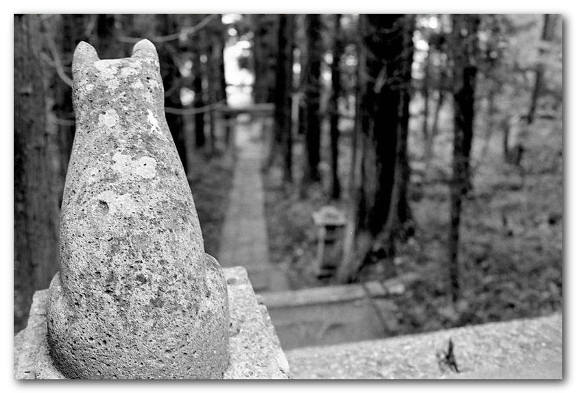 013_200307_ME_S_M50_1.4_400PREST.jpg